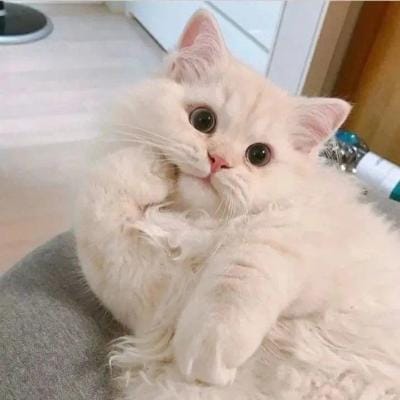Fajar Nugraha avatar